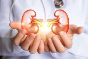 Read more about the article Cistični bubrezi: sve što trebate znati