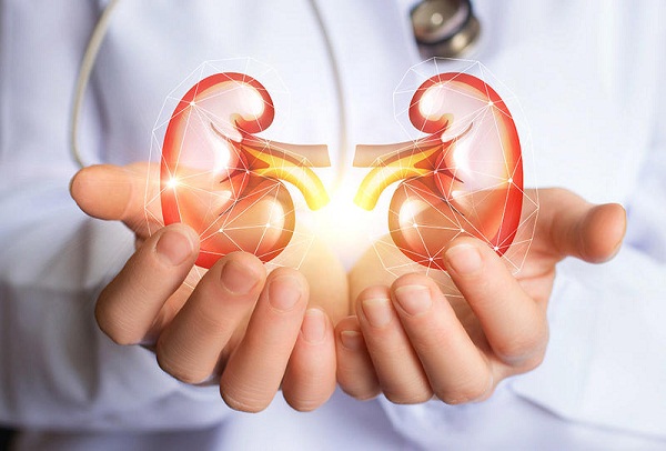 Read more about the article Cistični bubrezi: sve što trebate znati