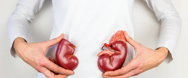 Read more about the article Kako bole bubrezi simptomi – Kompletan vodič za razumijevanje bola u bubrezima