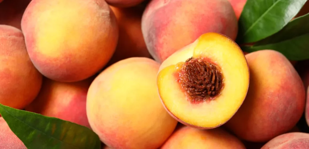 breskve i dijabetesa