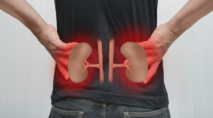 Read more about the article Bubrezi i mokraćni kanali: Simptomi, Uzroci i Najbolji Načini Liječenja