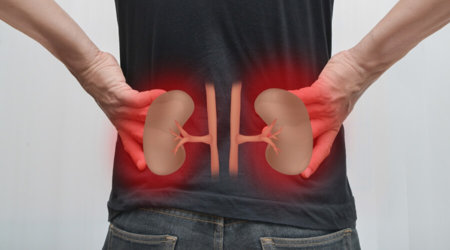 Read more about the article Bubrezi i mokraćni kanali: Simptomi, Uzroci i Najbolji Načini Liječenja